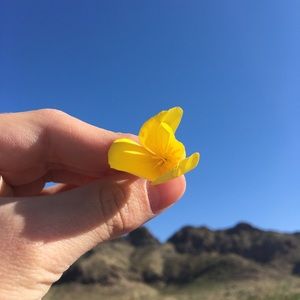 Meet your Posher, Gigi